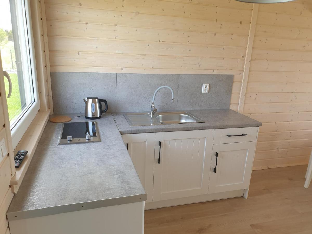 Szara Gaska W Gaskach Lodger